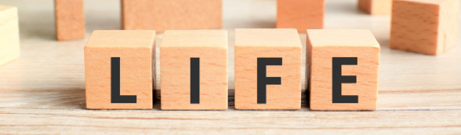 ライフプランニング